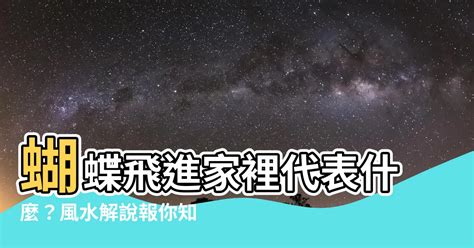 鳥飛進家裡代表什麼|【鳥飛進家裡】家有喜事來了！鳥飛進家裡預示著什麼吉凶？